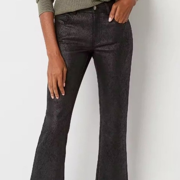 Frye and Co. Regular Fit Bootcut Trouser W2. - Picture 5 of 16